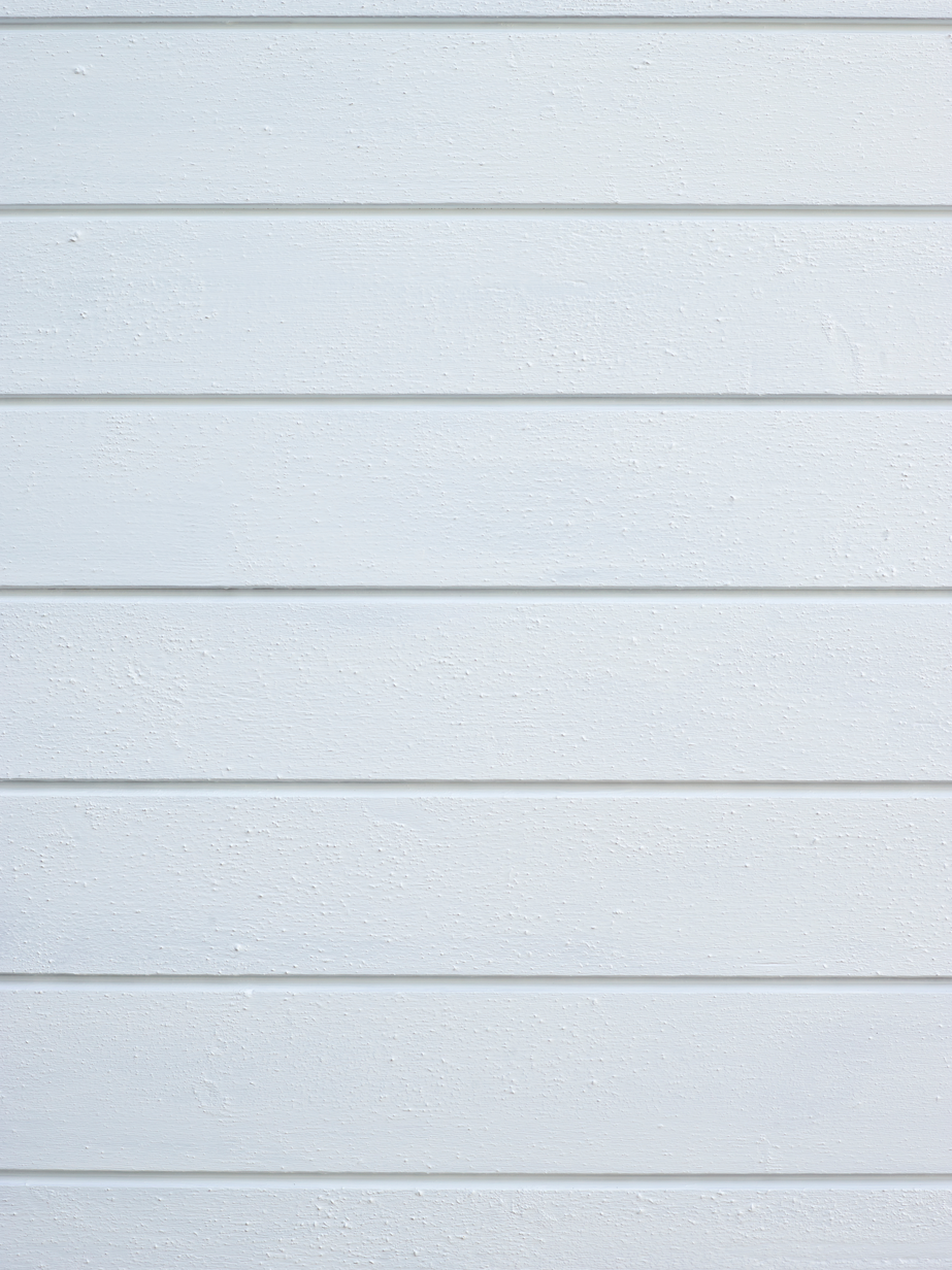 FR5009 Snøfnugg 03.jpg