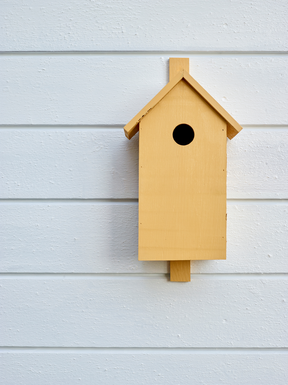 FR5009 Snøfnugg 05.jpg