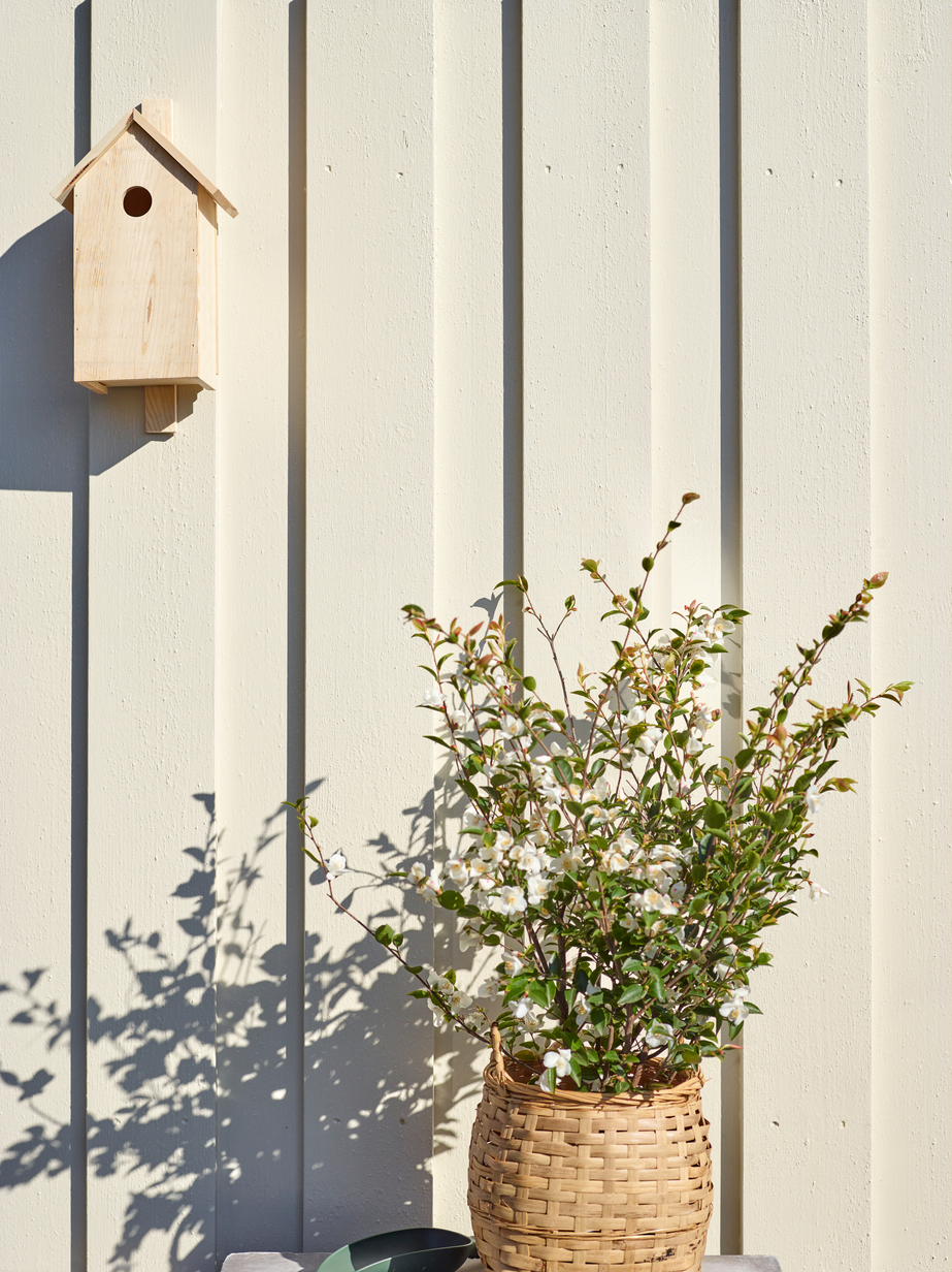 FR5190 September 01.jpg