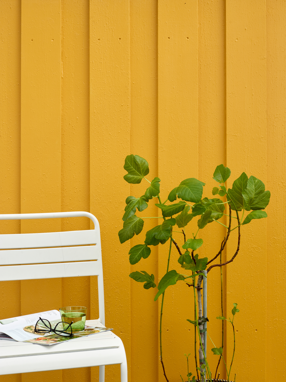 FR5220 Hankø 01.jpg