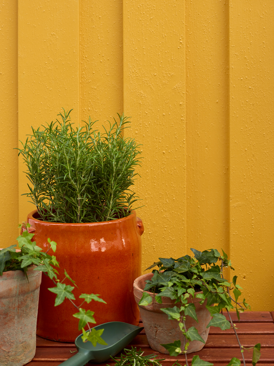 FR5220 Hankø 05.jpg