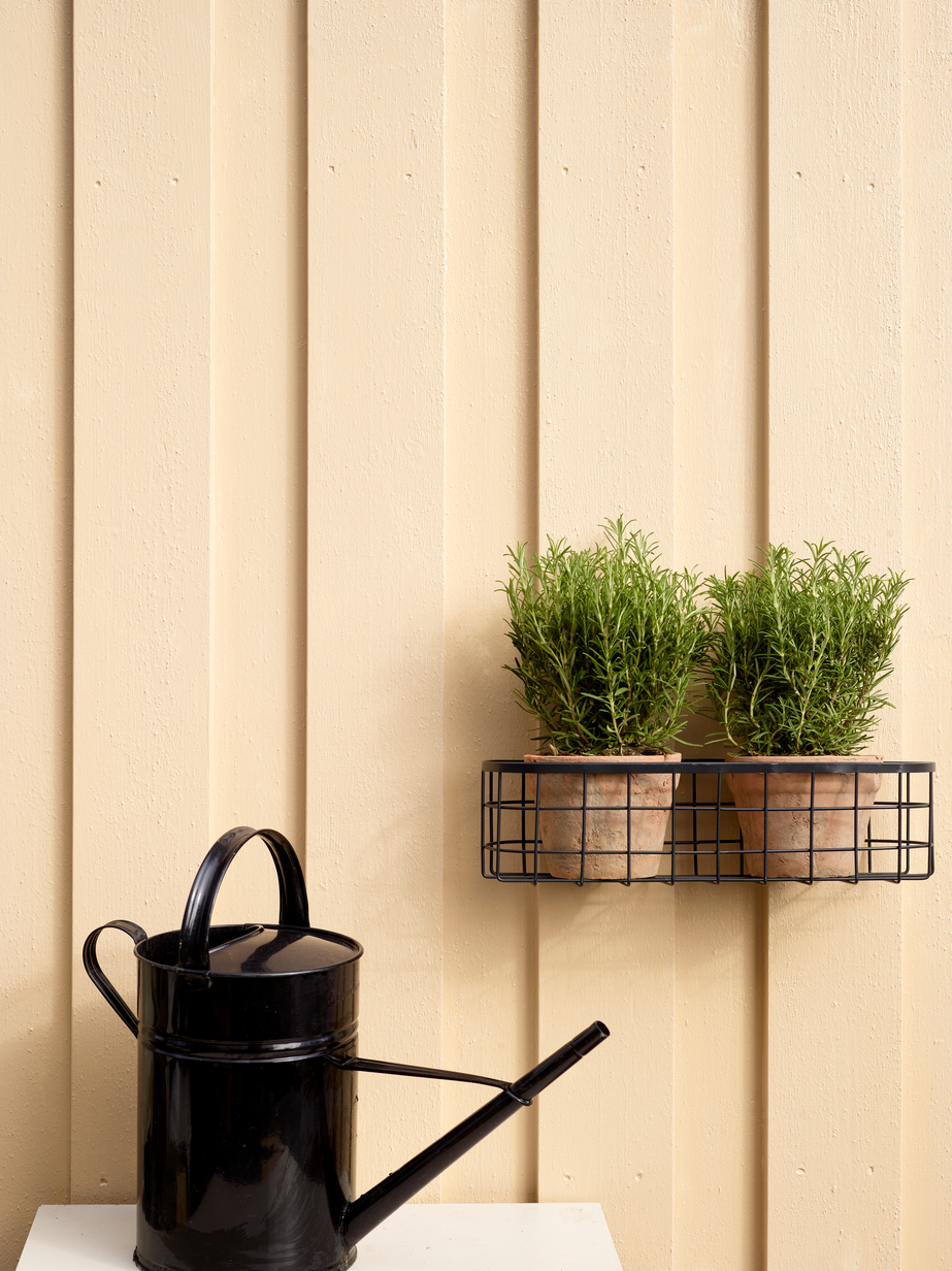 FR6135 Lys sand 04.jpg