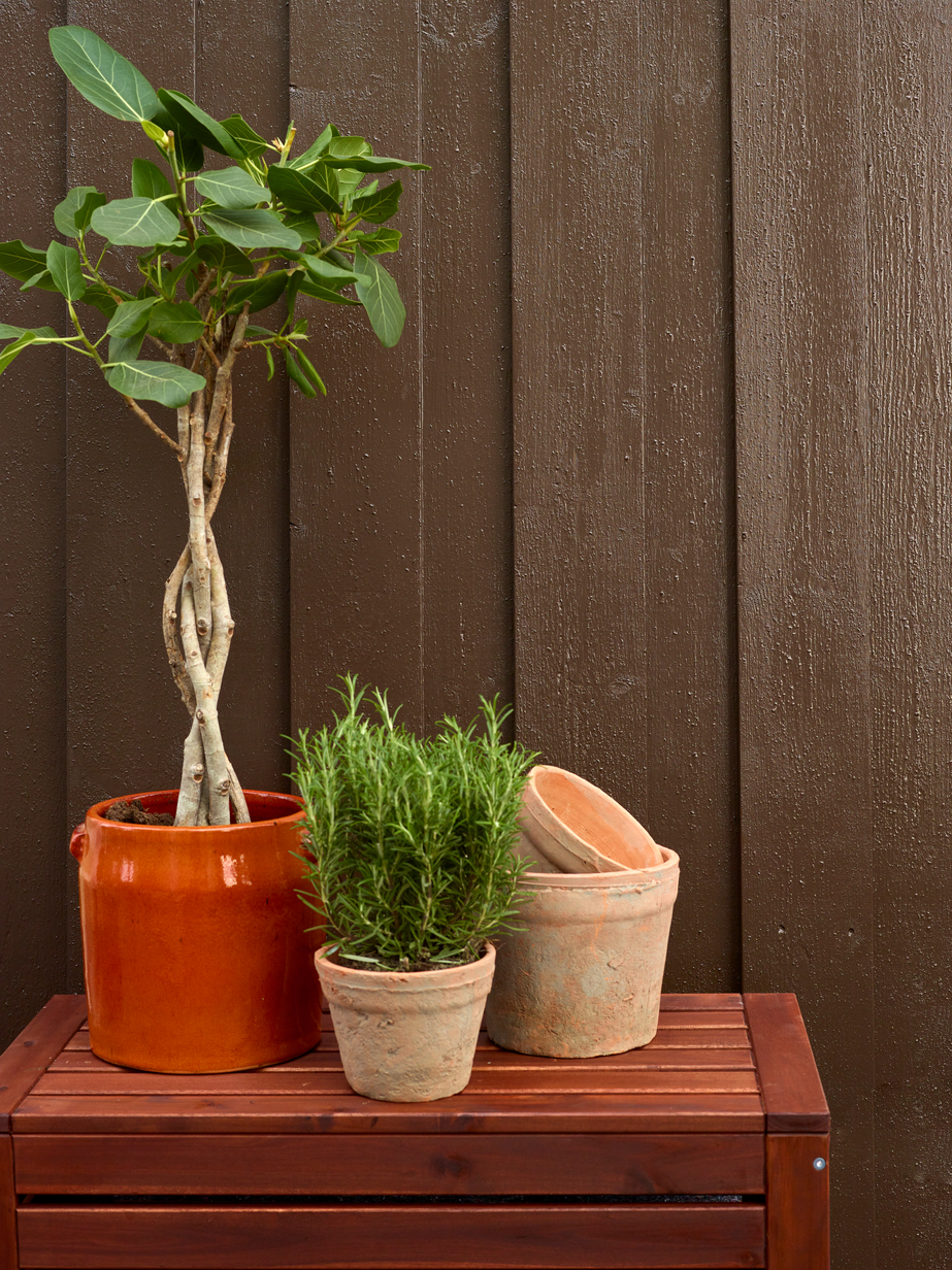 FR9115 Tjærebrun 01.jpg