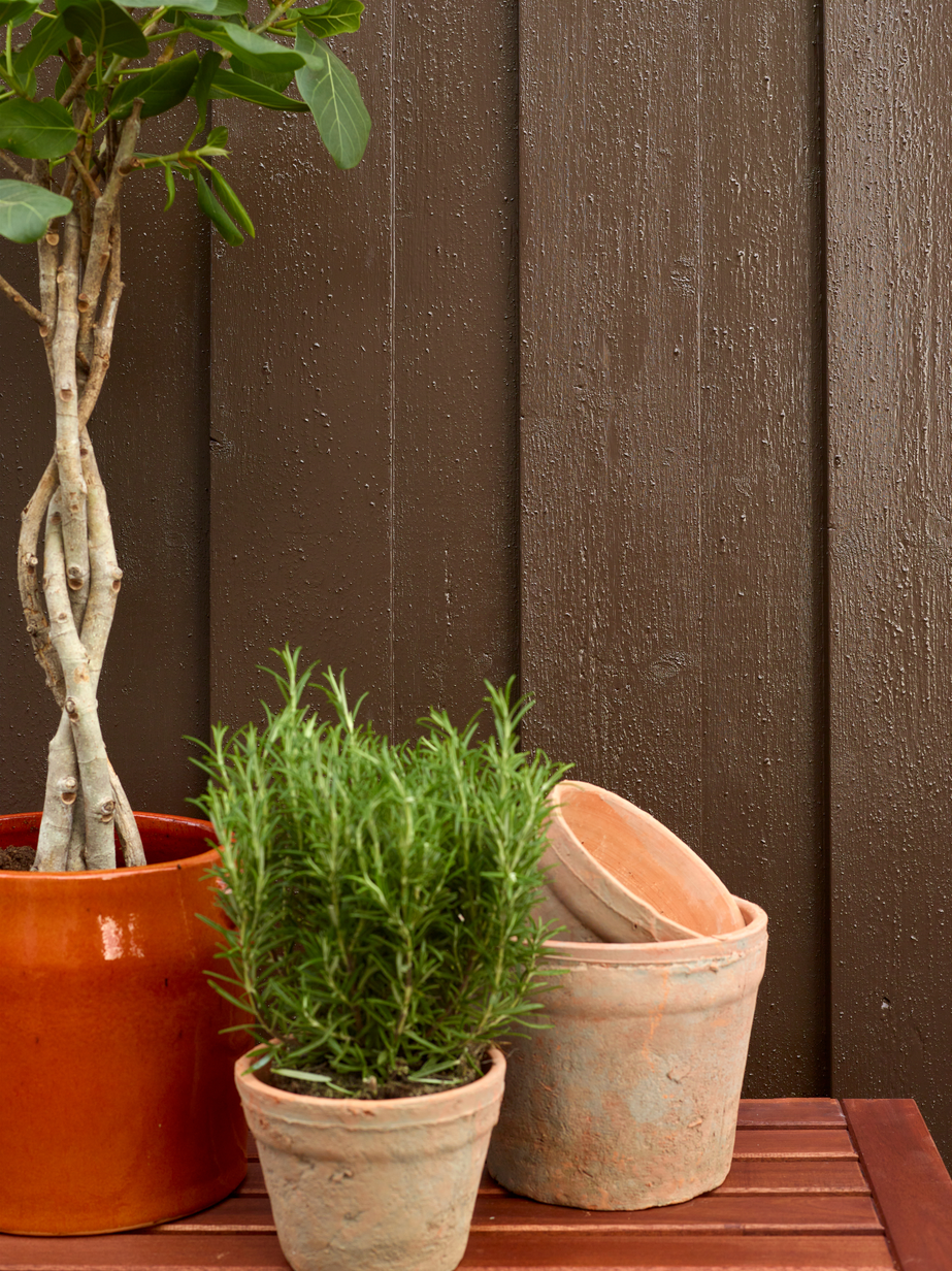 FR9115 Tjærebrun 02.jpg