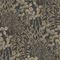 Storeys Inia A78903
