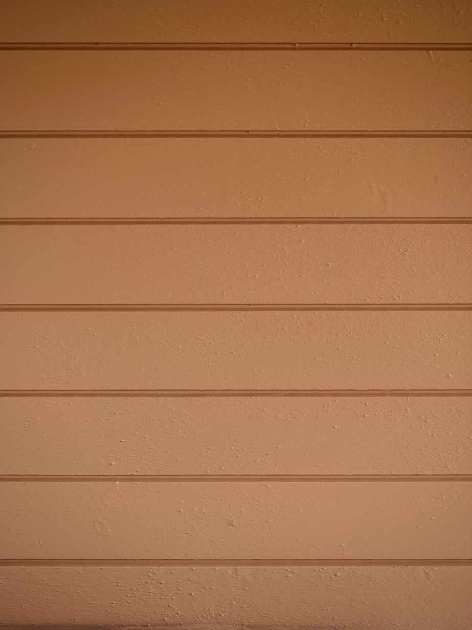 Høstblomst FR2451[4].jpg