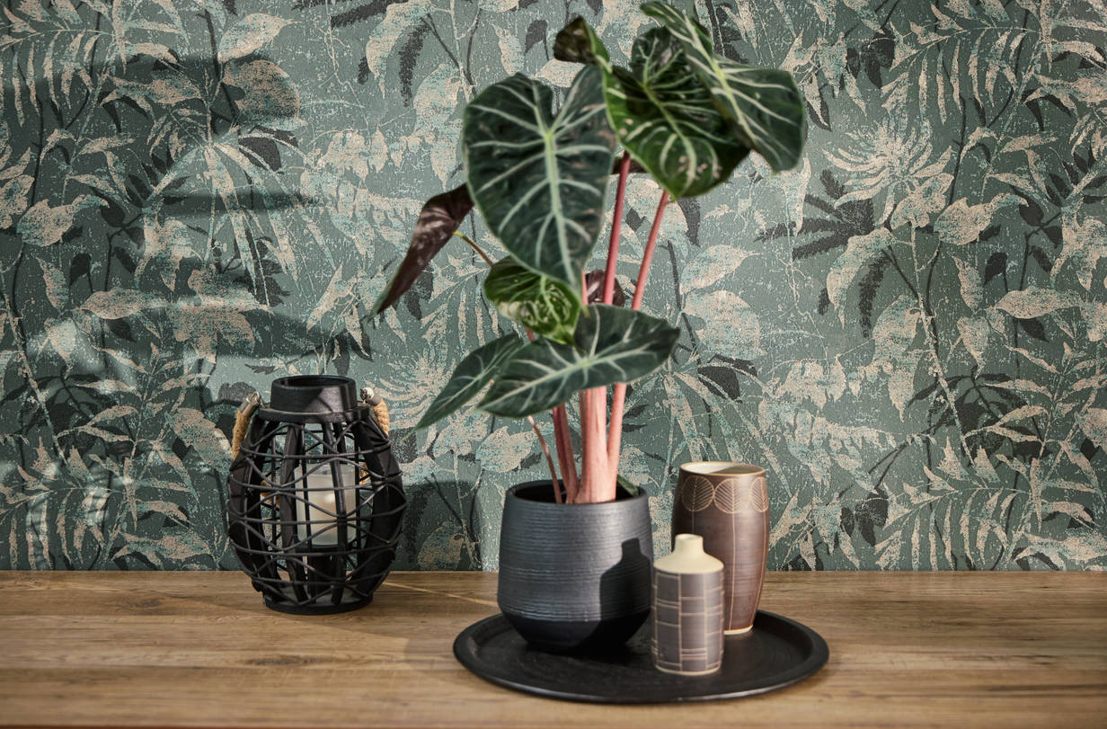 Storeys Hot Spots 78203-5