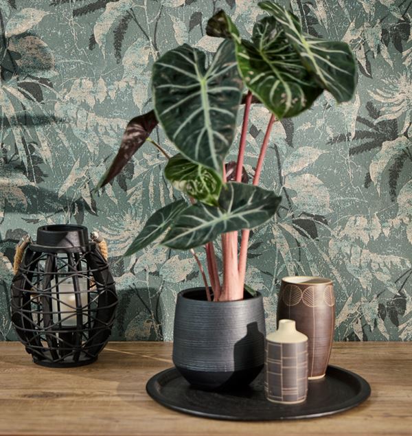 Storeys Hot Spots 78203-5