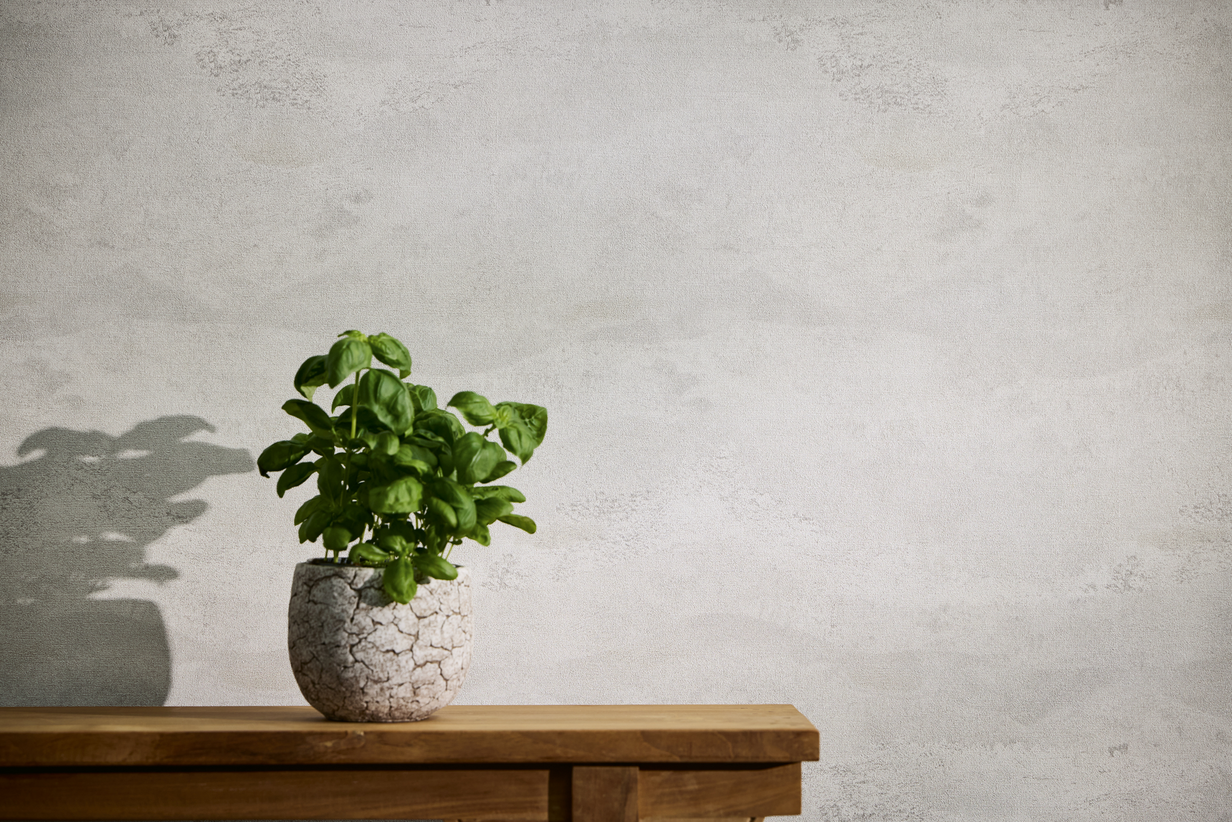 Storeys Hot Spots 78656-6