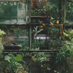 Storeys Hot Spots 79016-6 Panel