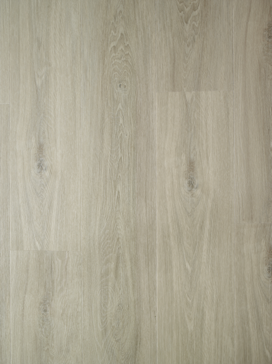 Aspecta Isocore Promo Mushroom Klikkvinyl