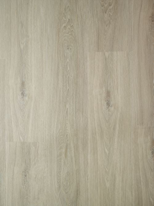 Aspecta Isocore Promo Mushroom Klikkvinyl