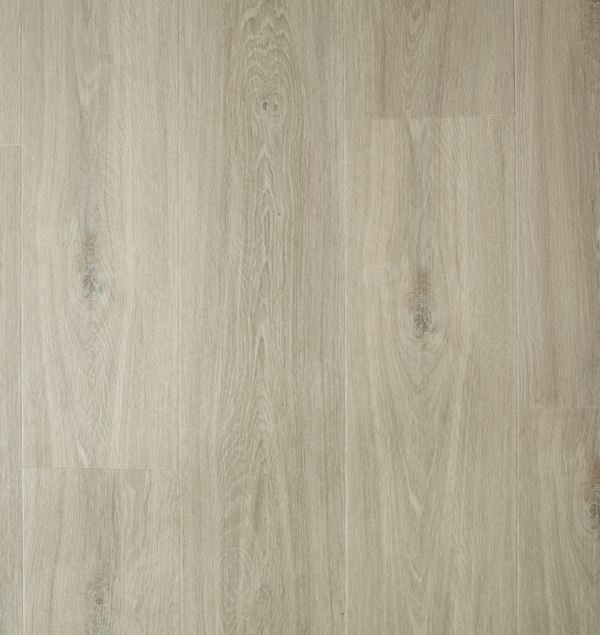 Aspecta Isocore Promo Mushroom Klikkvinyl