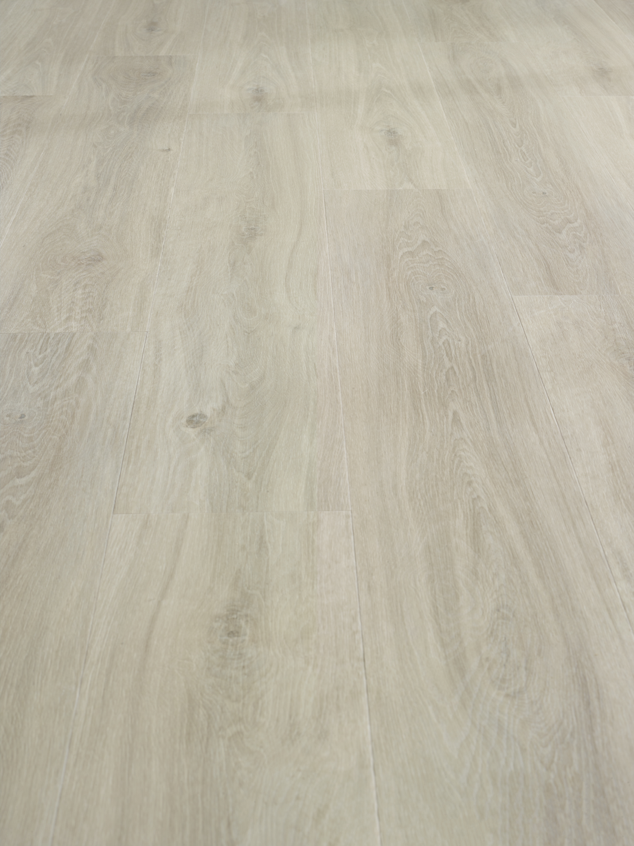 Aspecta Isocore Promo Mushroom Klikkvinyl