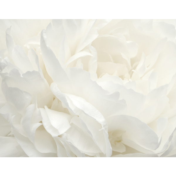 Storeys Atmosphere G78424