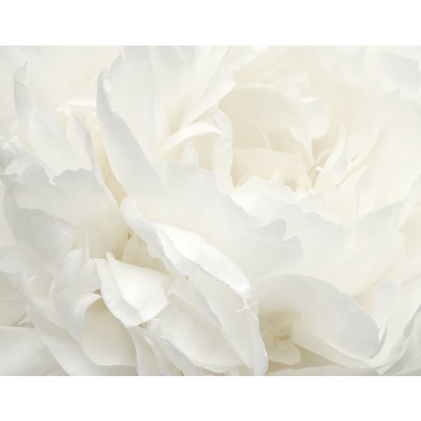 Storeys Atmosphere G78424