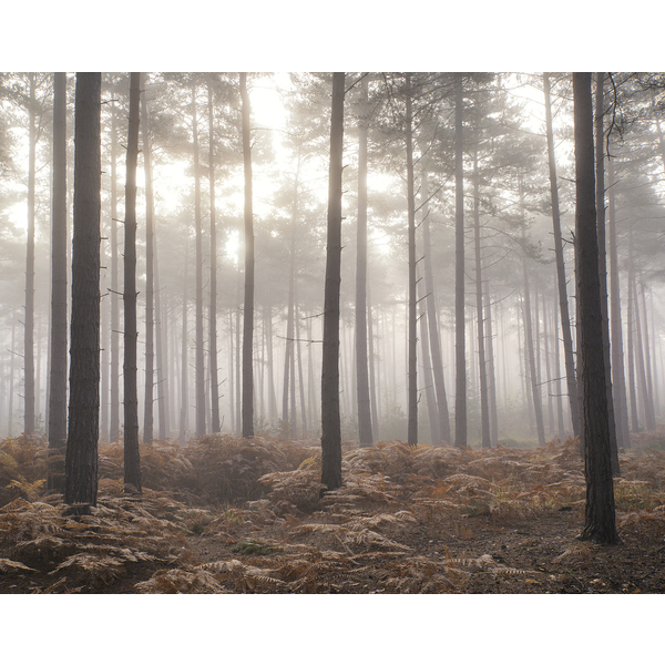 Storeys Atmosphere G78426