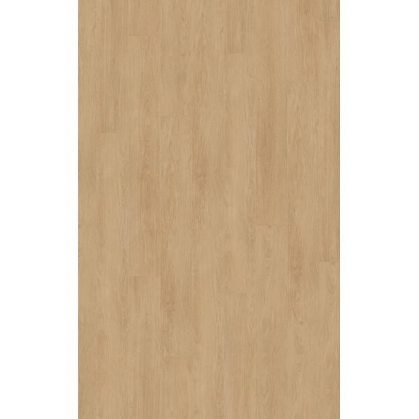 Kronotex Mammut Plus 81162 Elegance Oak Crem Laminatgulv