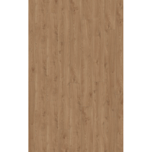 Kronotex Mammut Plus 41632 Macro Oak Gold Laminatgulv