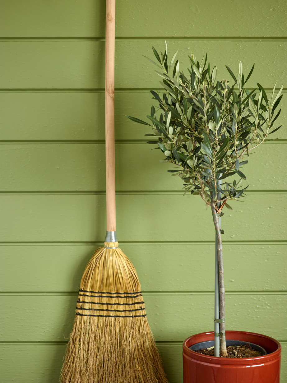 Olivenlund FR2460[4].jpg