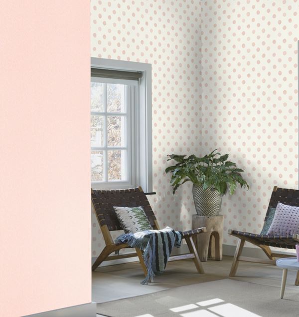 Storeys Kids World 252019