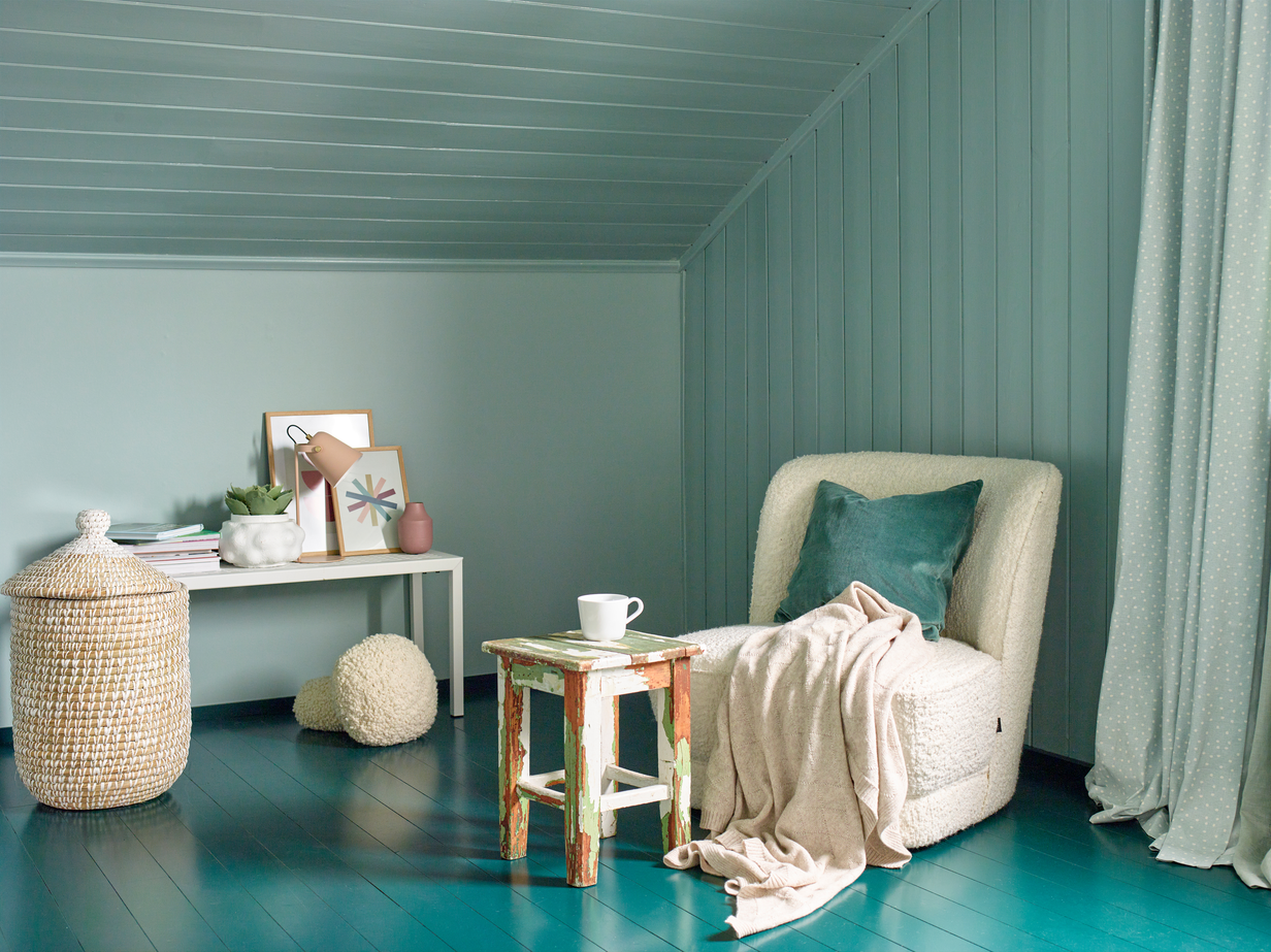 Salix alba FR1464 01.jpg