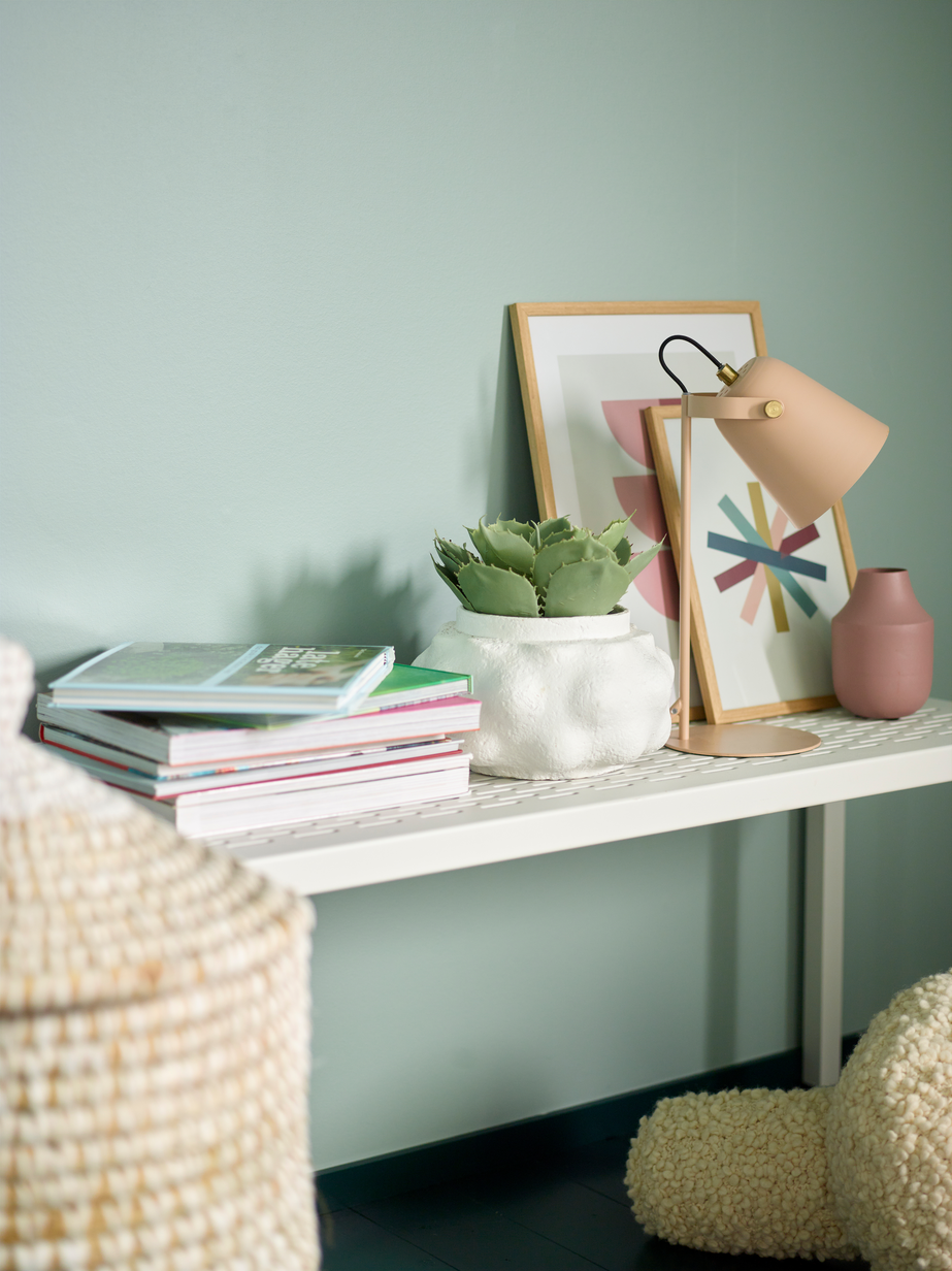 Salix alba FR1464 03.jpg