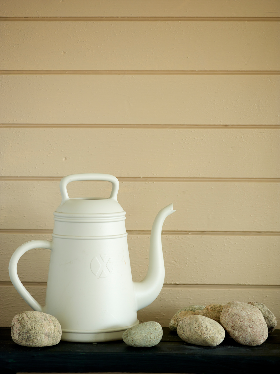 Savanne FR6130[1].jpg