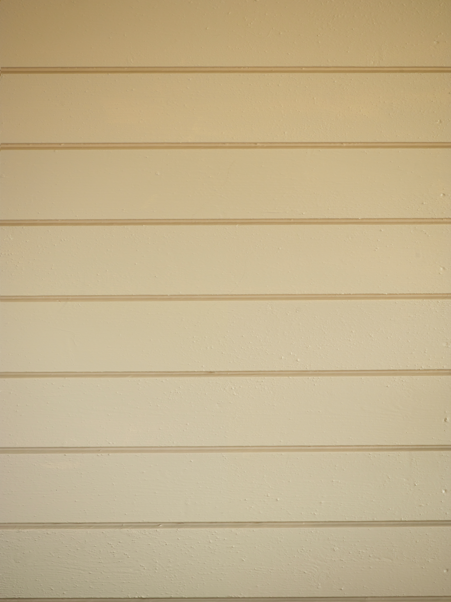 Savanne FR6130[2].jpg