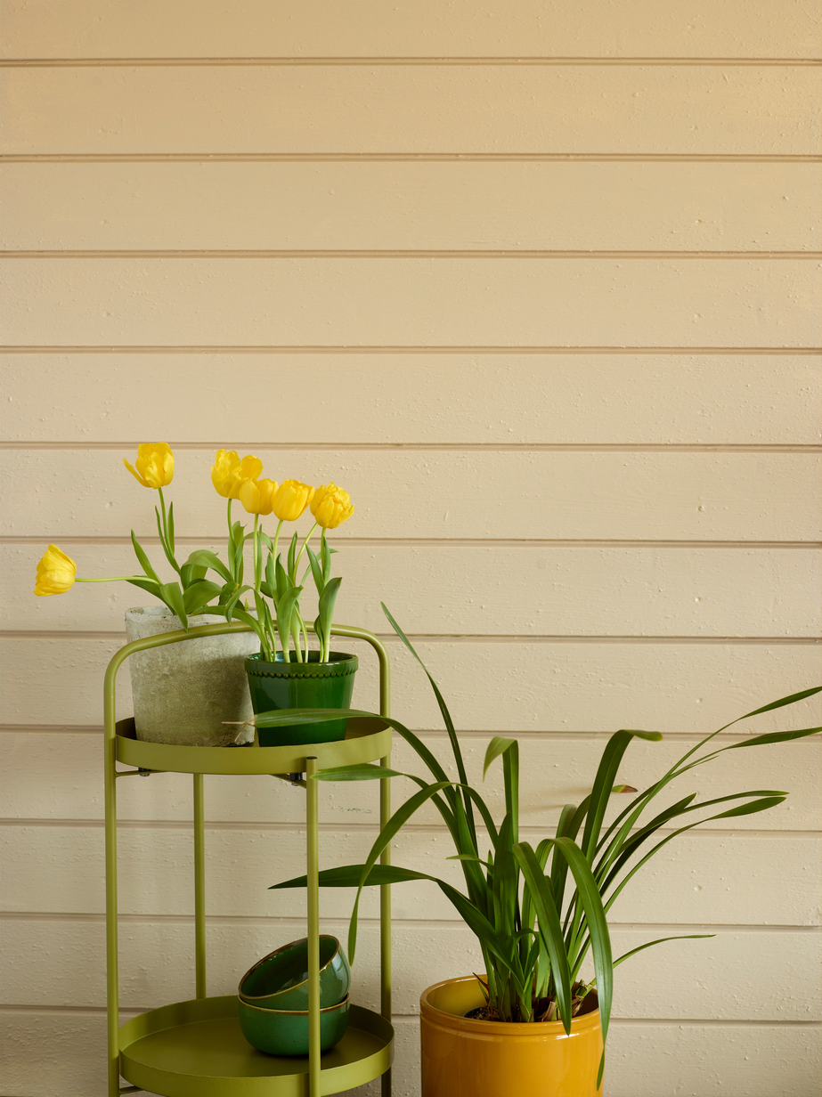 Savanne FR6130[3].jpg