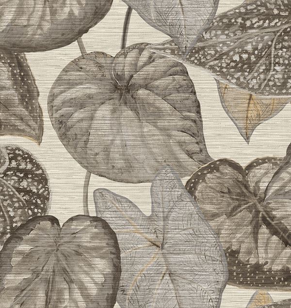 Storeys Tahiti TA25050