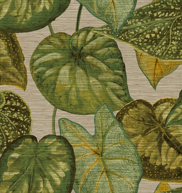 Storeys Tahiti TA25052