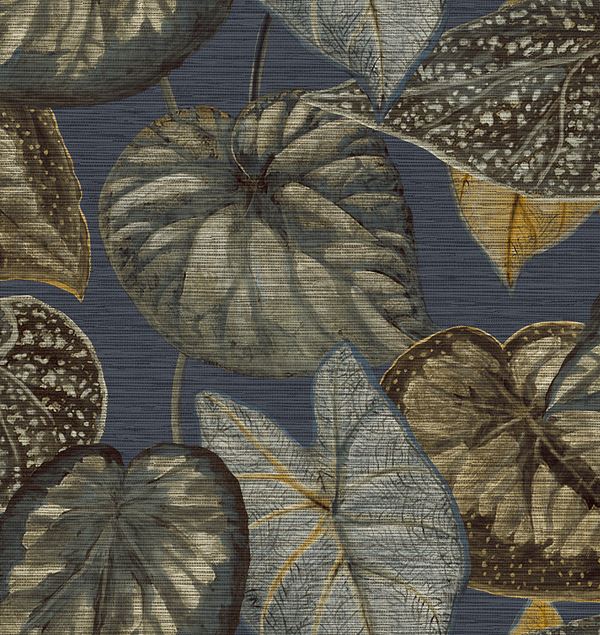 Storeys Tahiti TA25055