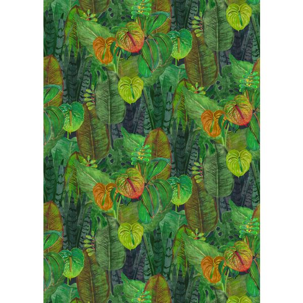 Storeys Tahiti TAD25090