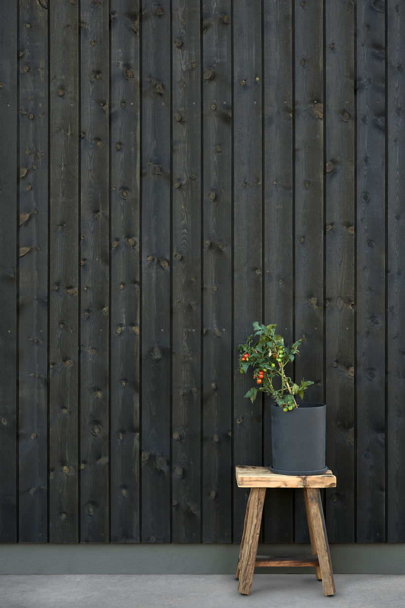 TREBITT_WoodCare_Night-Black_Mur_1877_Valmuefroe_IMG.jpg