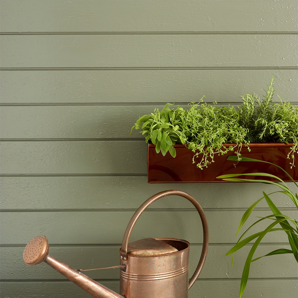 Kløvereng grønn husfarge