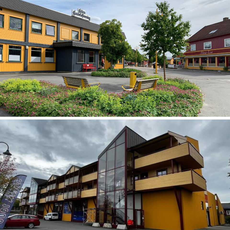 Rema 1000 Løten farge