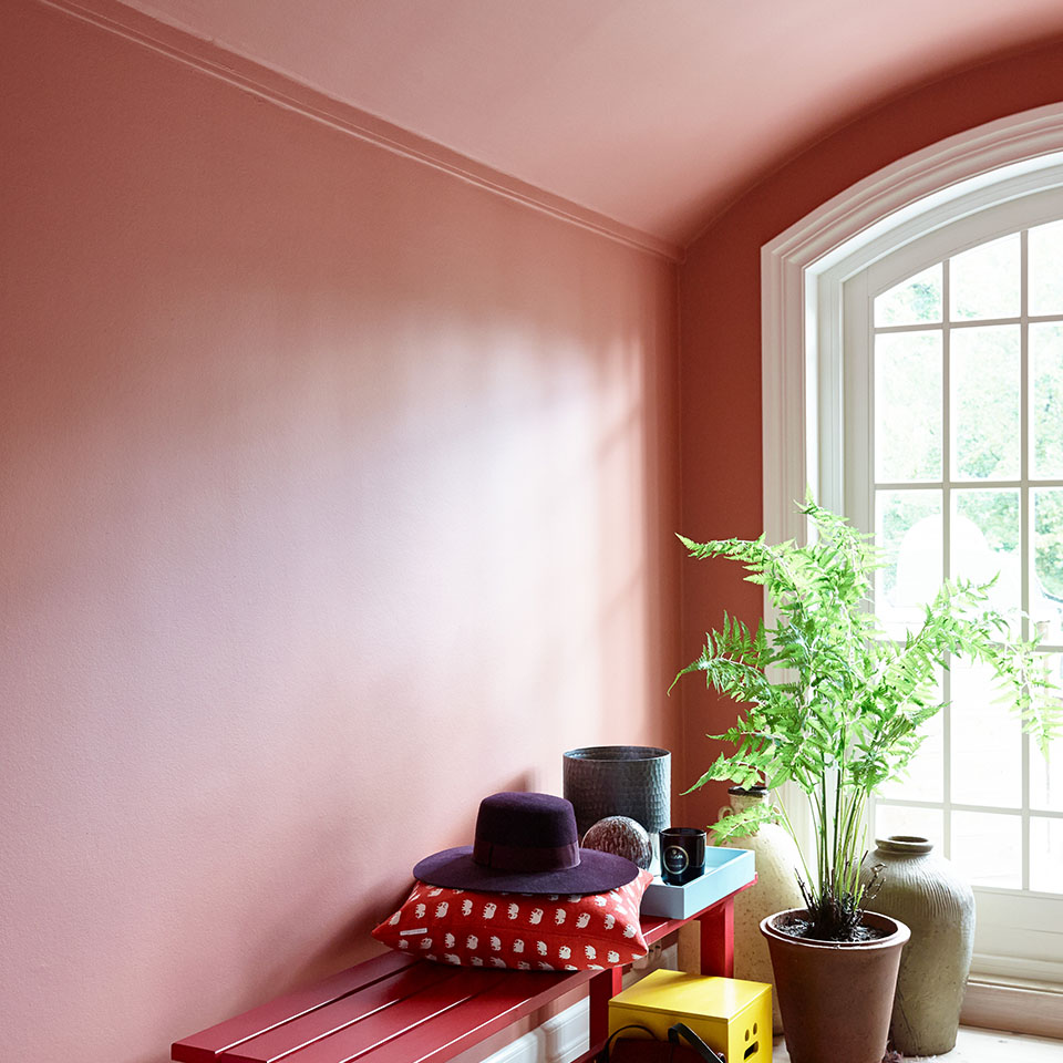 Lucca fargetrender 2022