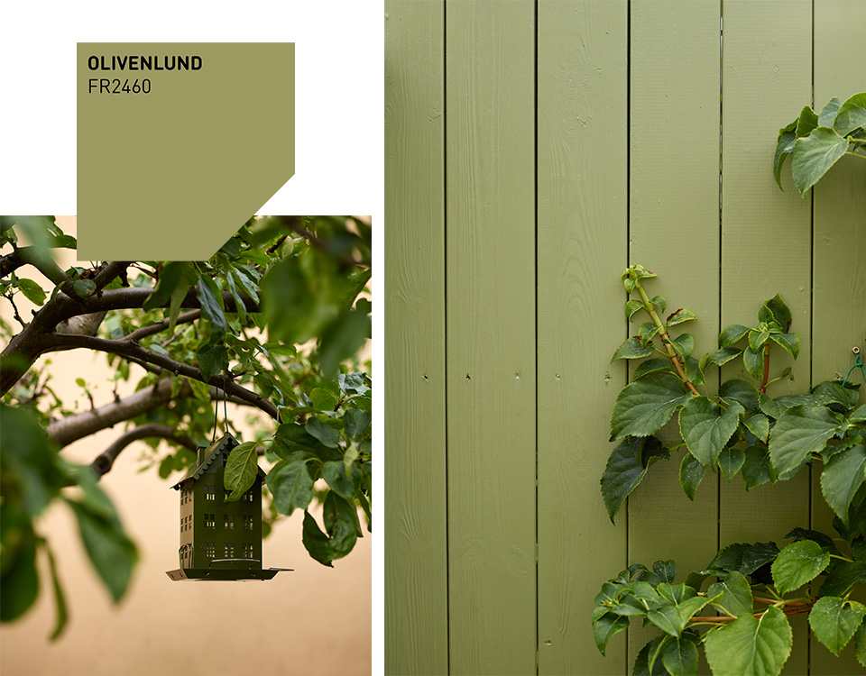Olivenlund grønn husfarge
